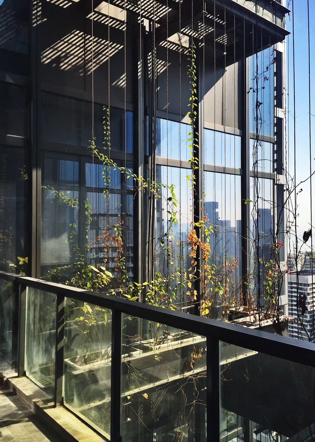 设计院出的蓝图什么样,建筑设计院盖楼照片