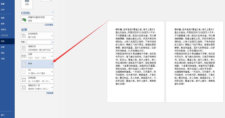 word横向打印字排版怎样居中,word文档姓名纵向变横向如何排版