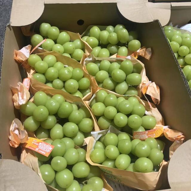 深圳最好的蛋糕排行榜,深圳网上订蛋糕哪家最好