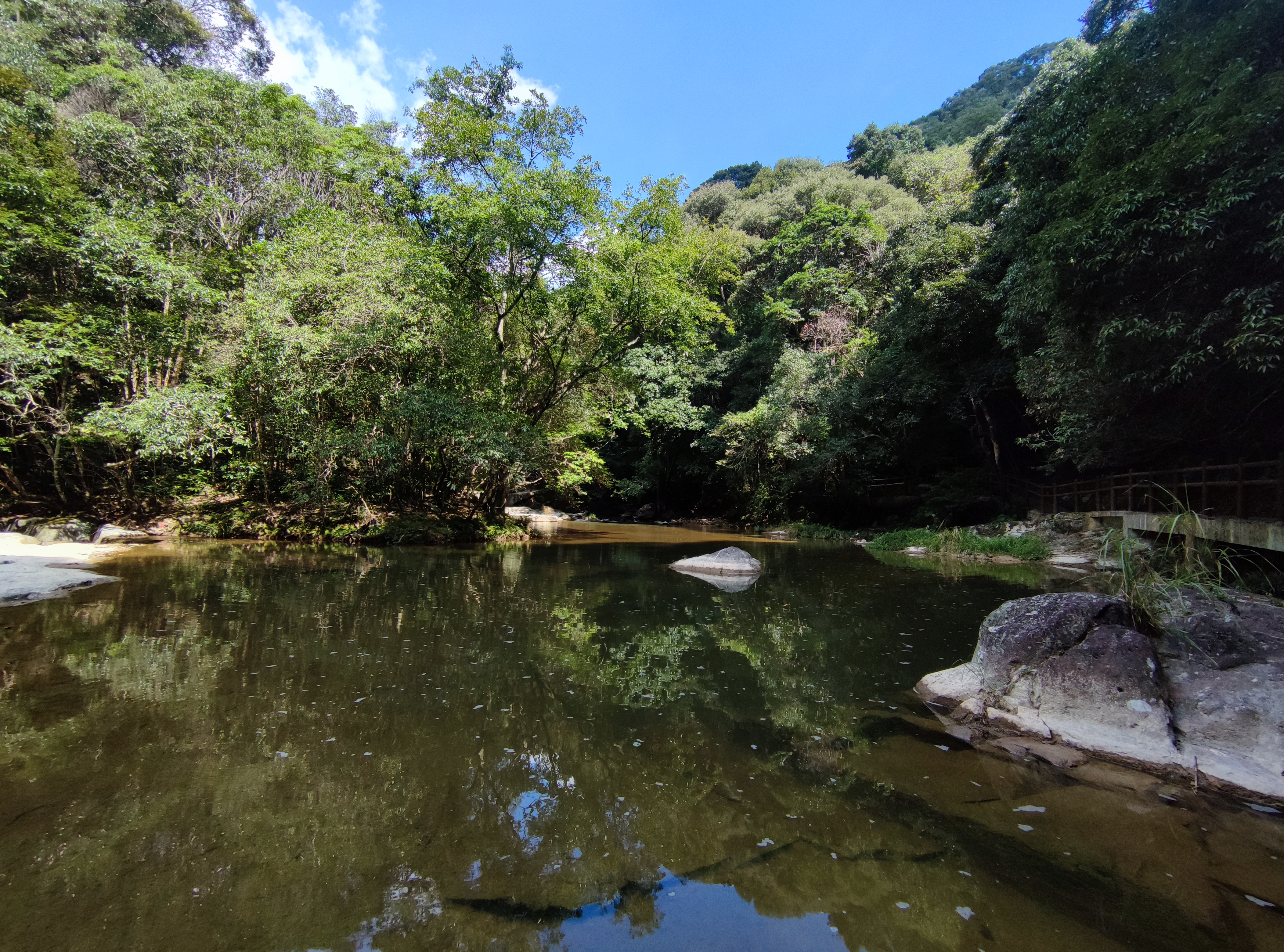青山网红村,寿山九峰村有农家乐吗