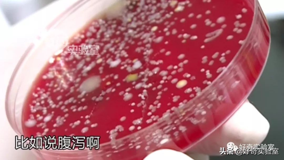 手机消毒用什么方法最好,教你如何给手机消毒又学一招