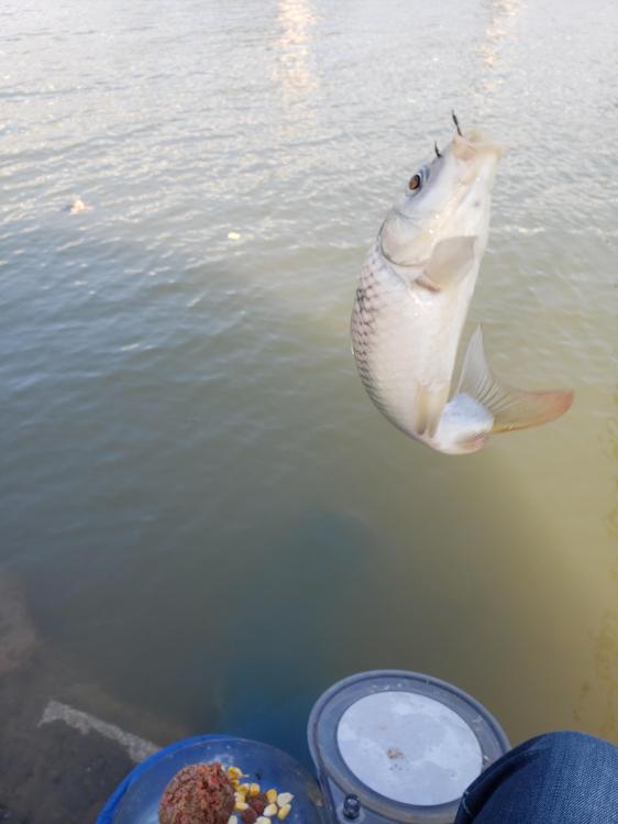 金迦潘钓杆,金迦潘求败渔具好用吗