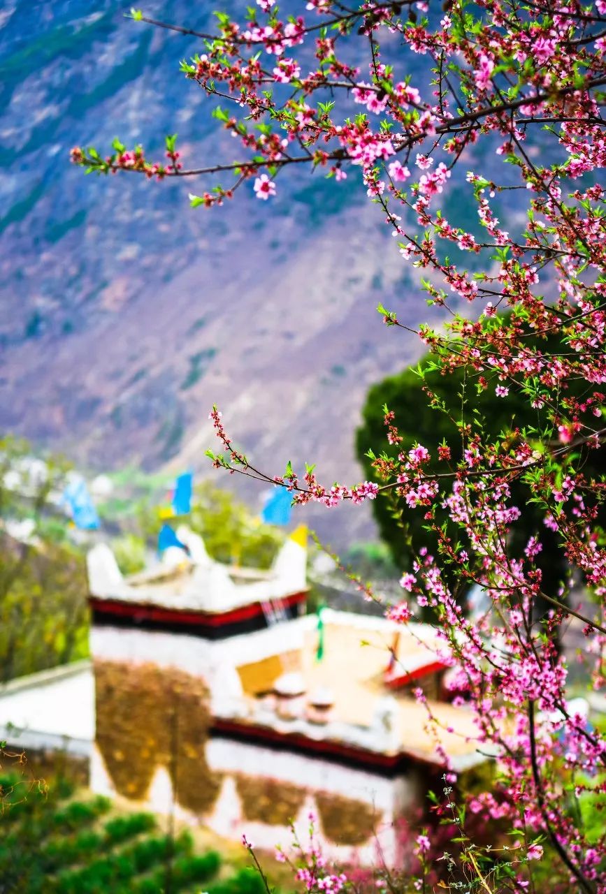 有生之年一定要去四川吗,年轻时不能去四川吗