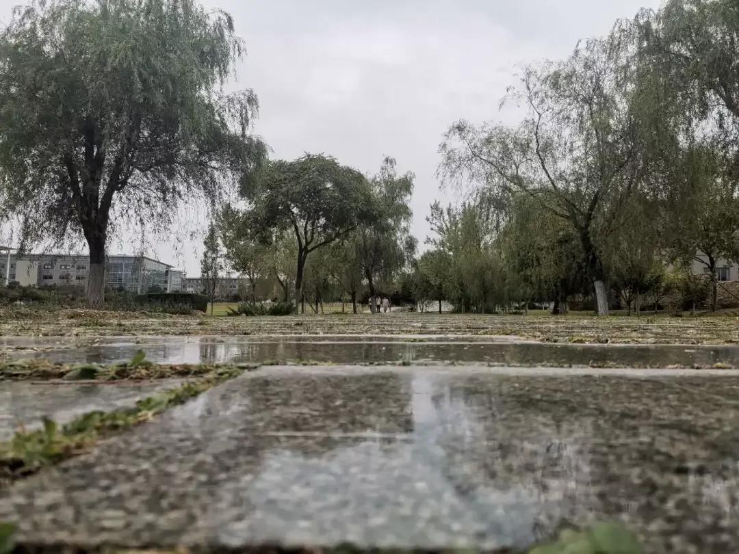 辽宁省高校（三十一）大连医科大学