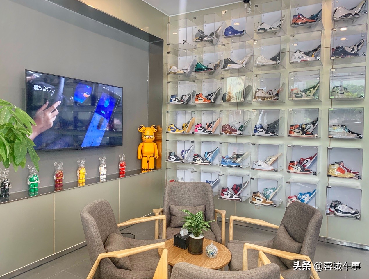 小鹏宏羽,小鹏汽车宏羽新势力