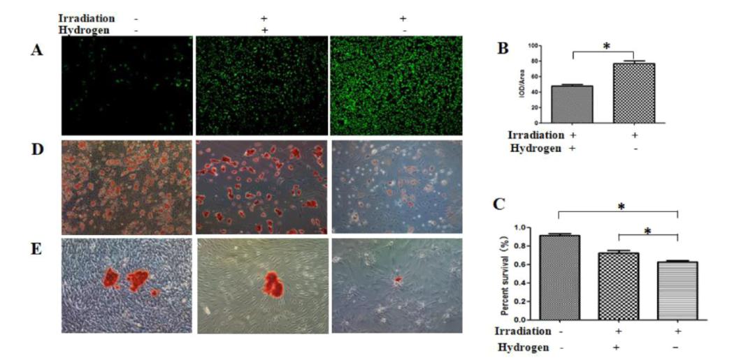 放射治疗骨坏死,氢气治疗癌症有效没
