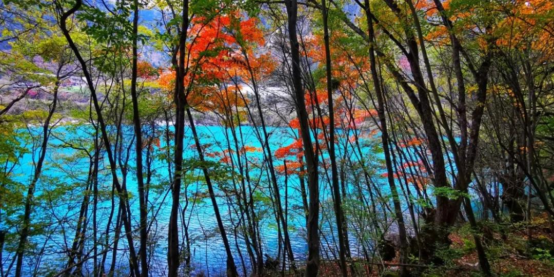 九寨沟路上招手,前方到站宁强