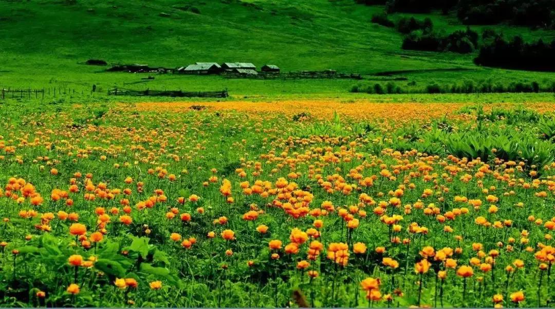 70年有什么经典的歌,6070年代都在听的一首歌