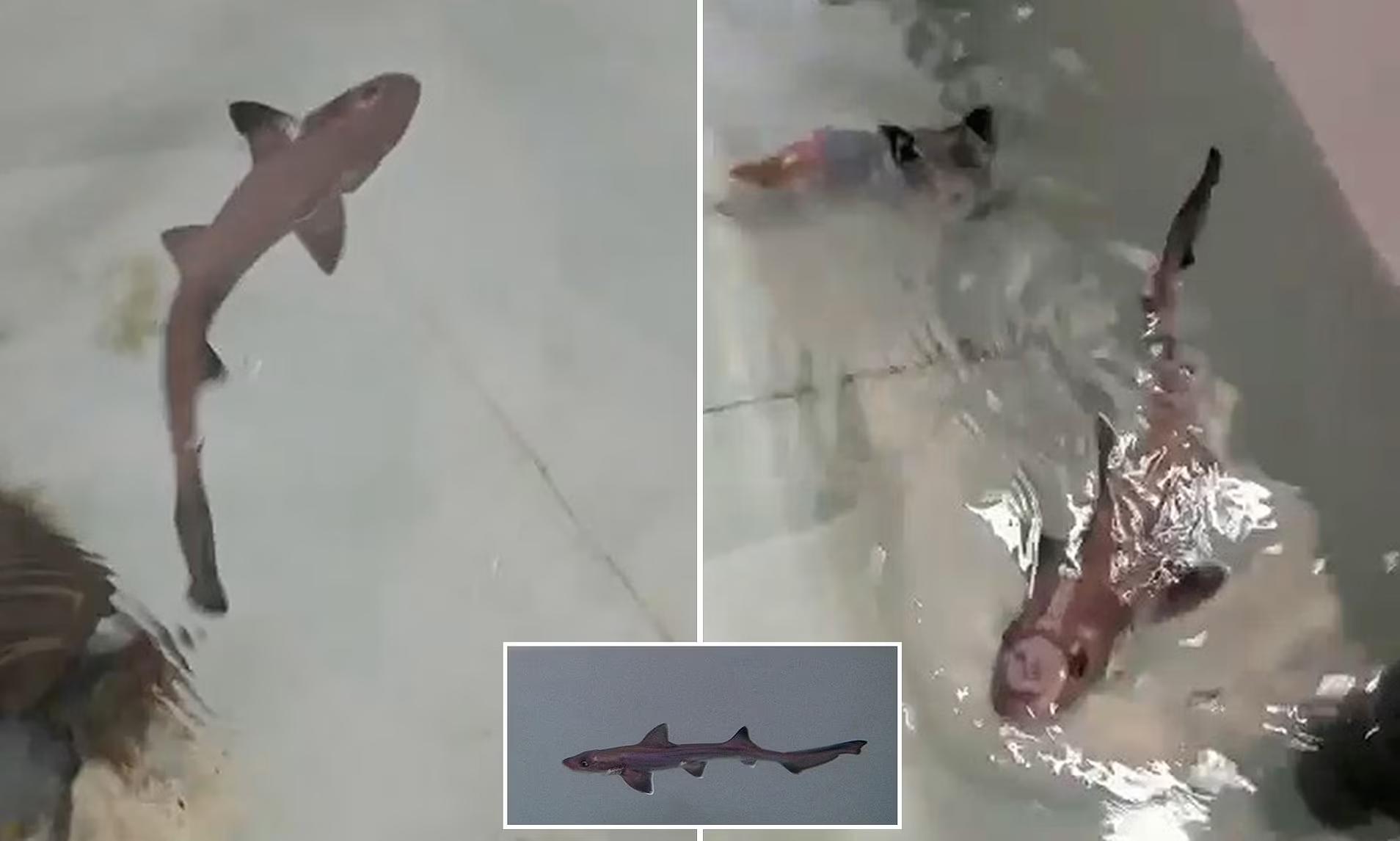 孩子是谁的不知道,孩子是谁的都没查出来