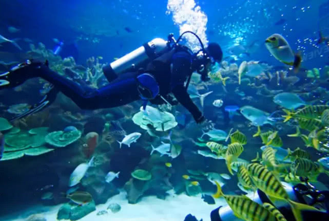 有趣的大学课程有哪些,你家大学有哪些课程