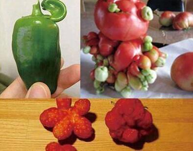 基站辐射和wifi辐射有什么区别,5g基站辐射比4g基站辐射强吗