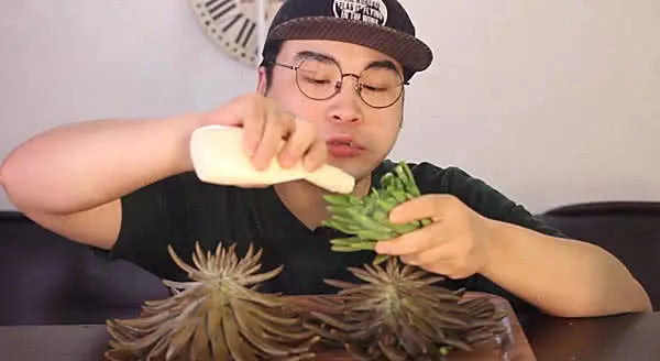 韩国小哥吃播多肉植物，整棵多肉直接啃，网友：有点心疼这多肉