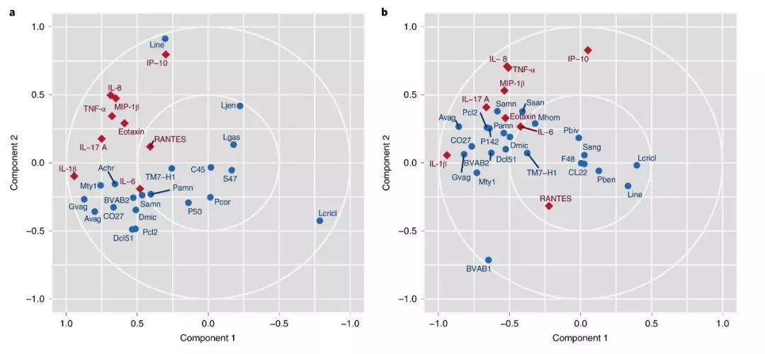 iHMP第二弹|阴道微生物与早产