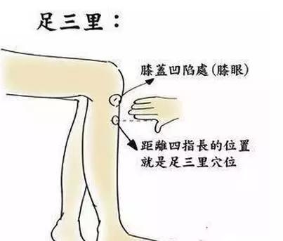 春夏两季湿气重该吃点什么,换季湿气太重了怎么排湿