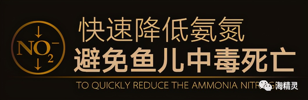 硝化细菌深入研究的九大误区,硝化细菌到底如何选择