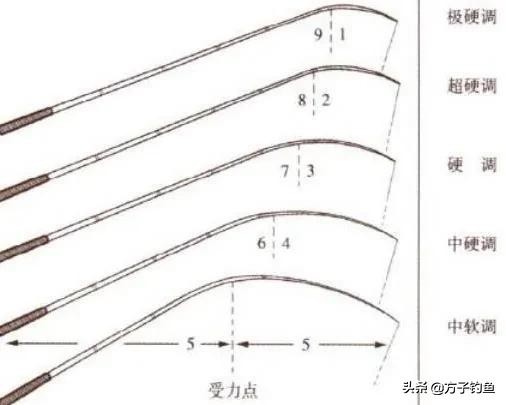 写给钓鱼的文章,给钓鱼初学者的话