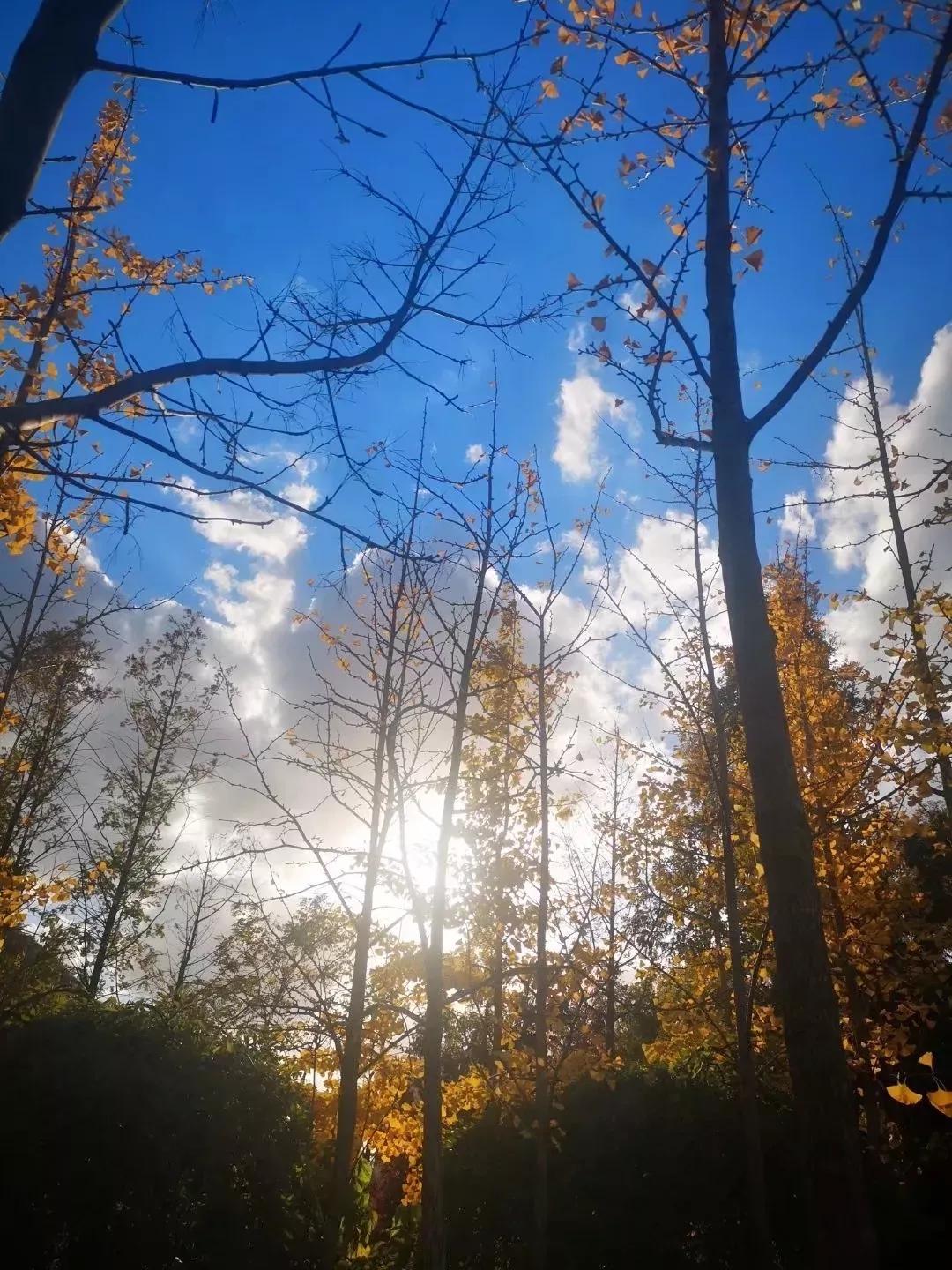 辽宁大连民办大学,大连辽宁二本大学