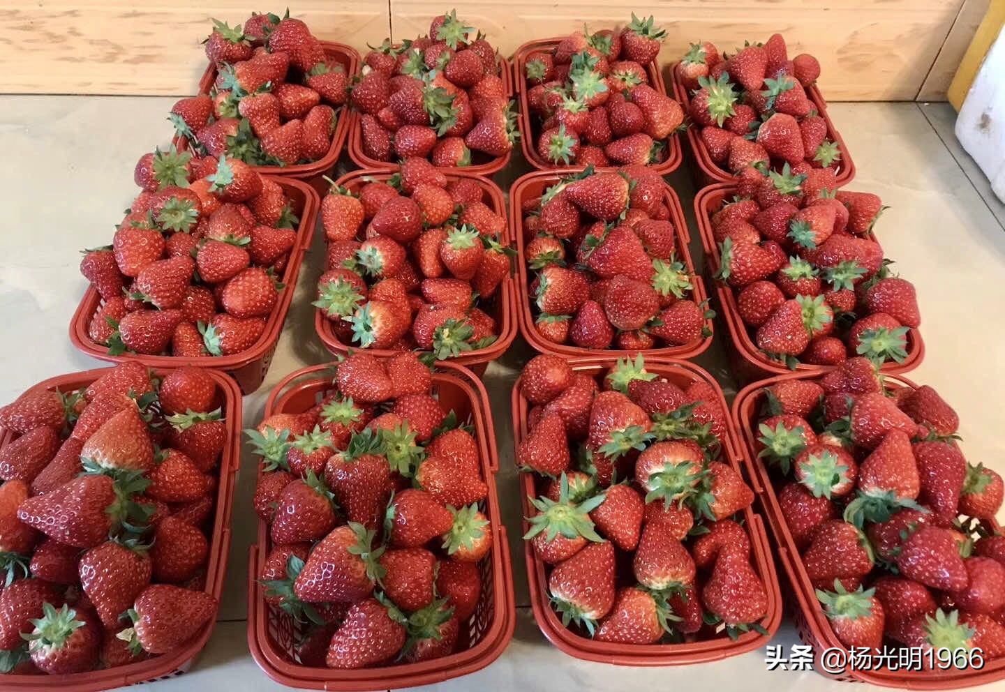 鍑噷鏀惰垂绔欏崠鑽夎帗 (鍑噷闄勮繎鐧借壊鑽夎帗)