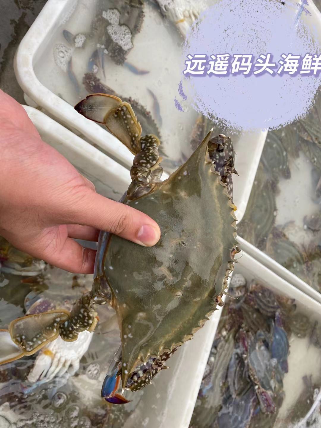 威海旅游感悟心得小学生,威海旅行感悟