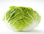 楹﹁姳澶ц繛娴烽矞鎵嬪伐姘撮ズ,澶ц繛楹﹁姳姘撮ズ