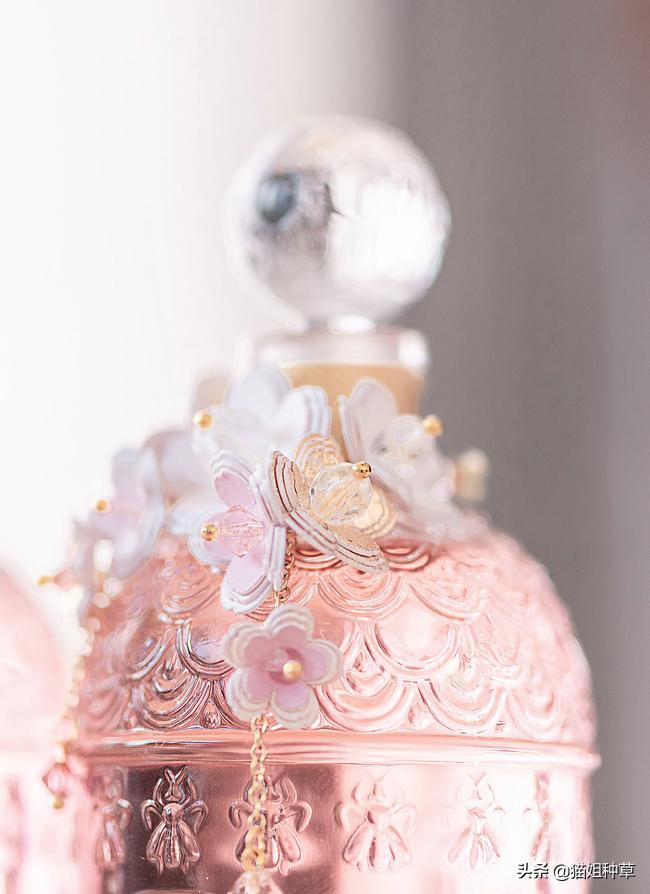 全球富婆抢破头,今年春天出的都是些什么神仙香水?