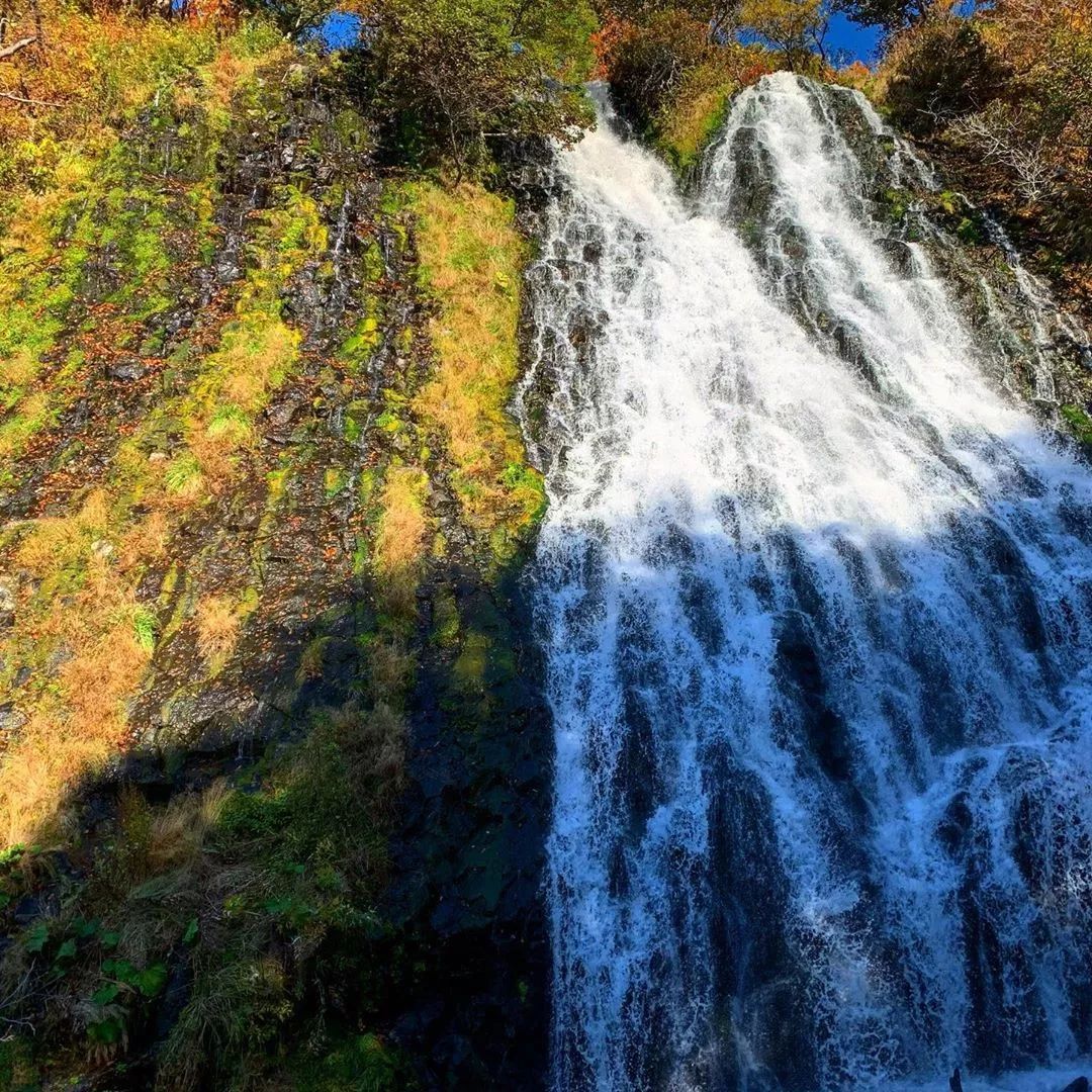 养老手游2020,月兔手游攻略