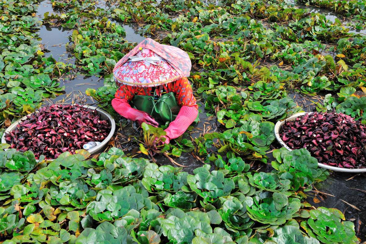 笠翁对韵国学经典21页,笠翁对韵经典篇章赏读