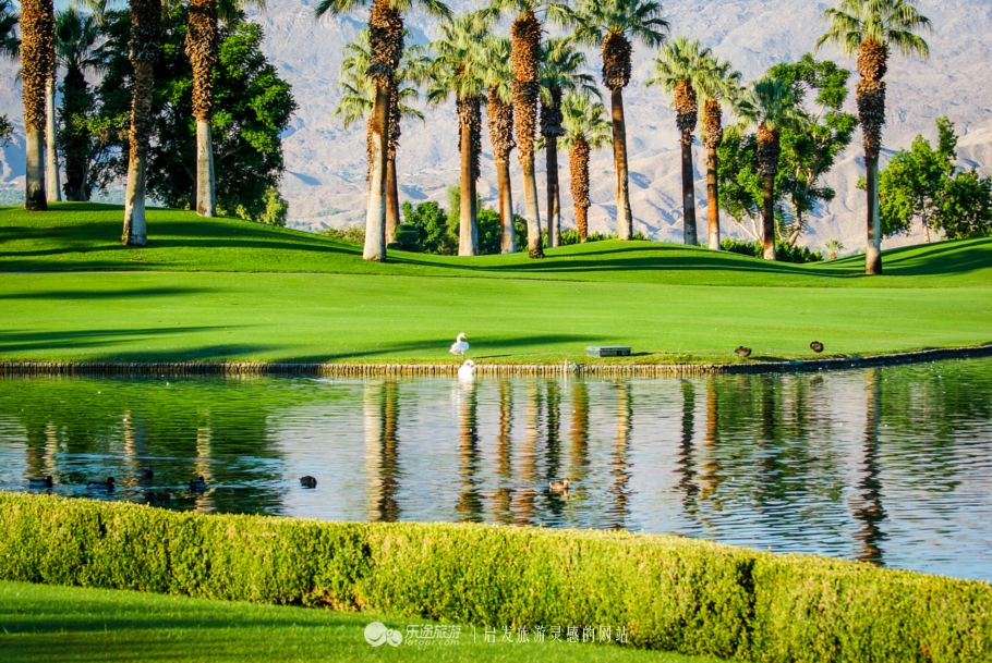 奥巴马卸任以后做什么工作,奥巴马卸任后做什么