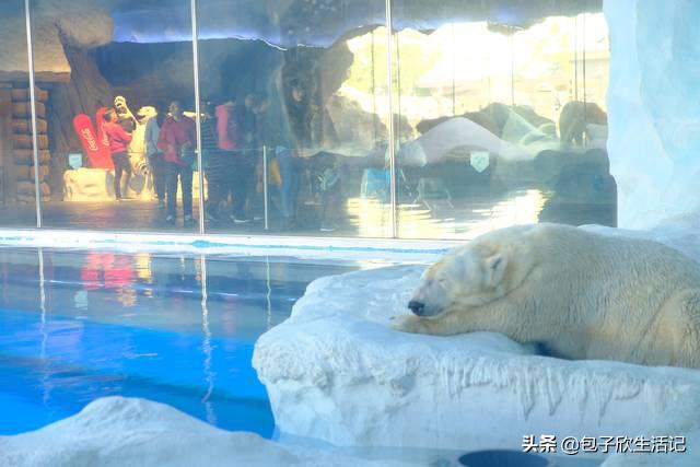 亲子珠海长隆海洋王国一日游攻略,珠海长隆海洋王国游玩攻略亲子