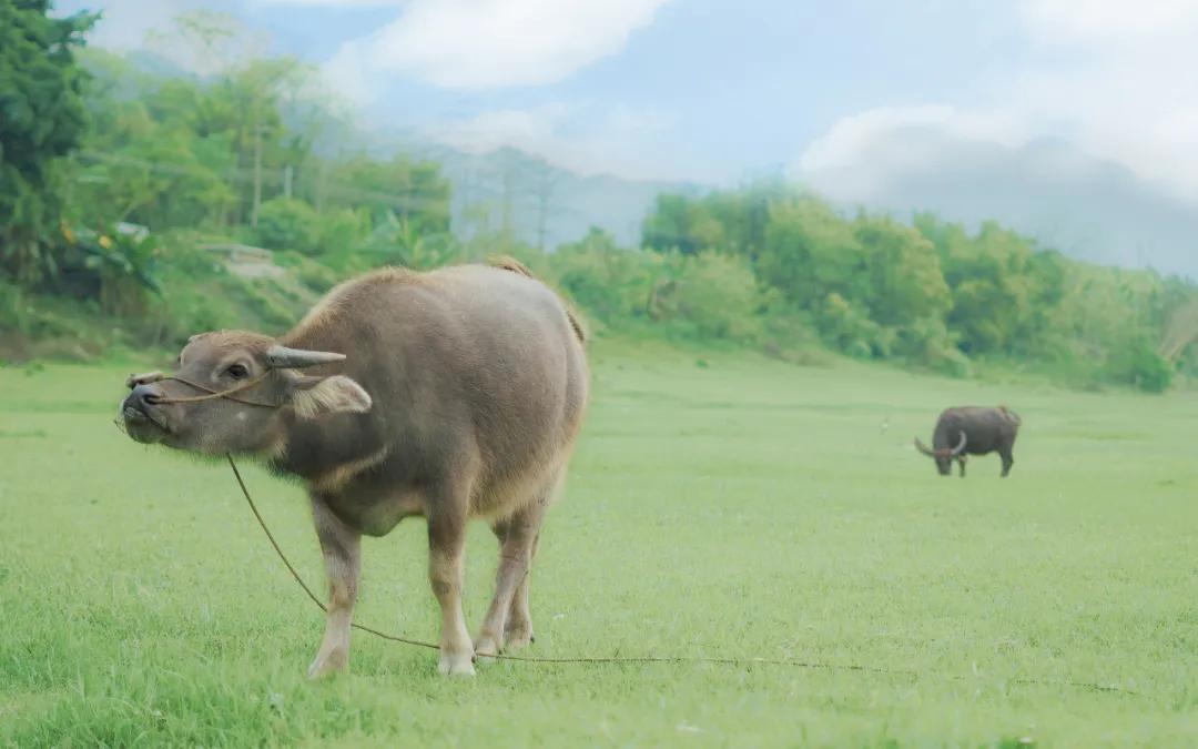 刁钻的问题和绝妙的回答值得一看,史上最刁钻的问题和最绝妙的回答