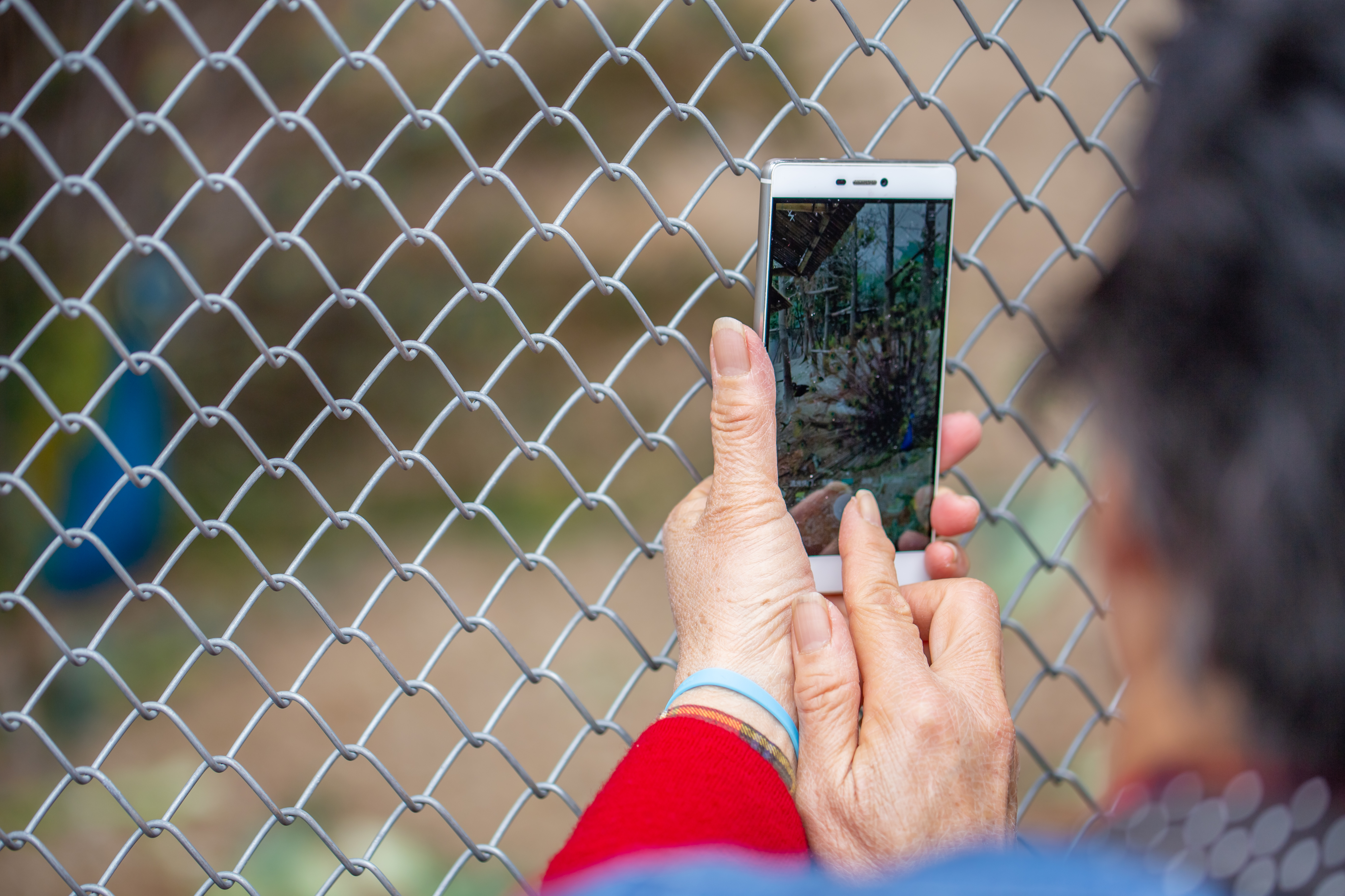 拍照用什么对焦模式比较好,精准对焦怎么拍照