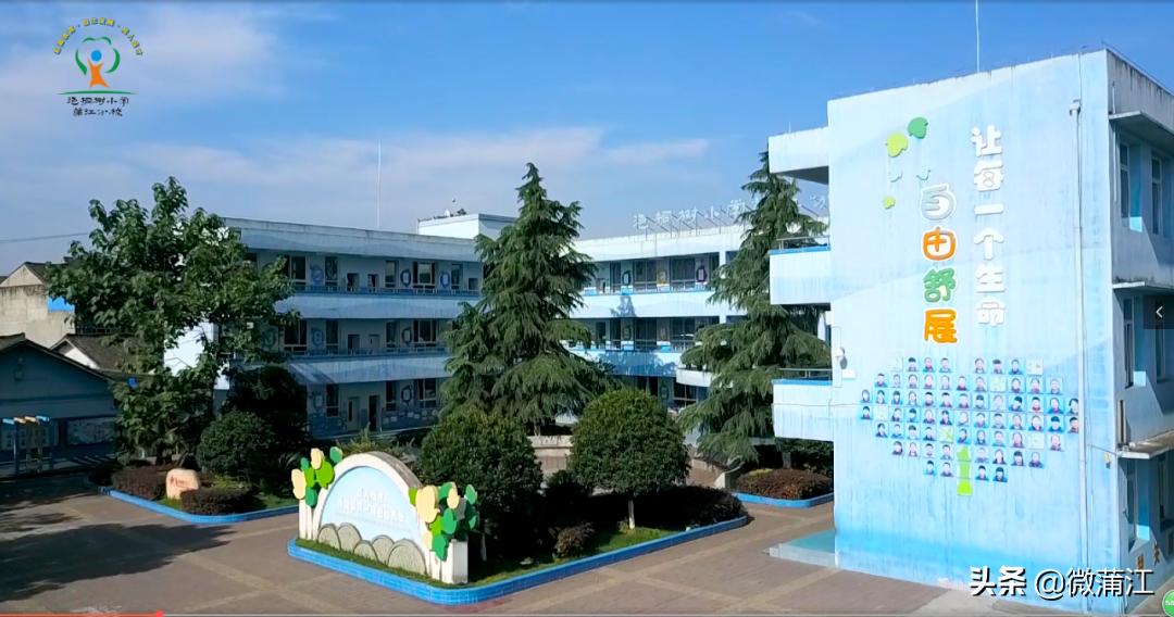 泡桐树小学蒲江分校图片,泡桐树小学蒲江分校怎么样
