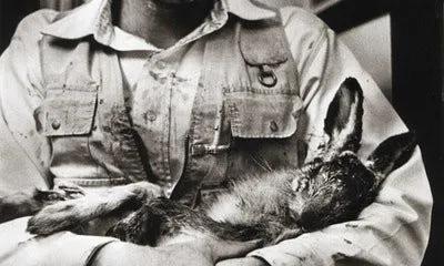 行为艺术到底是什么,通俗点讲什么是行为艺术