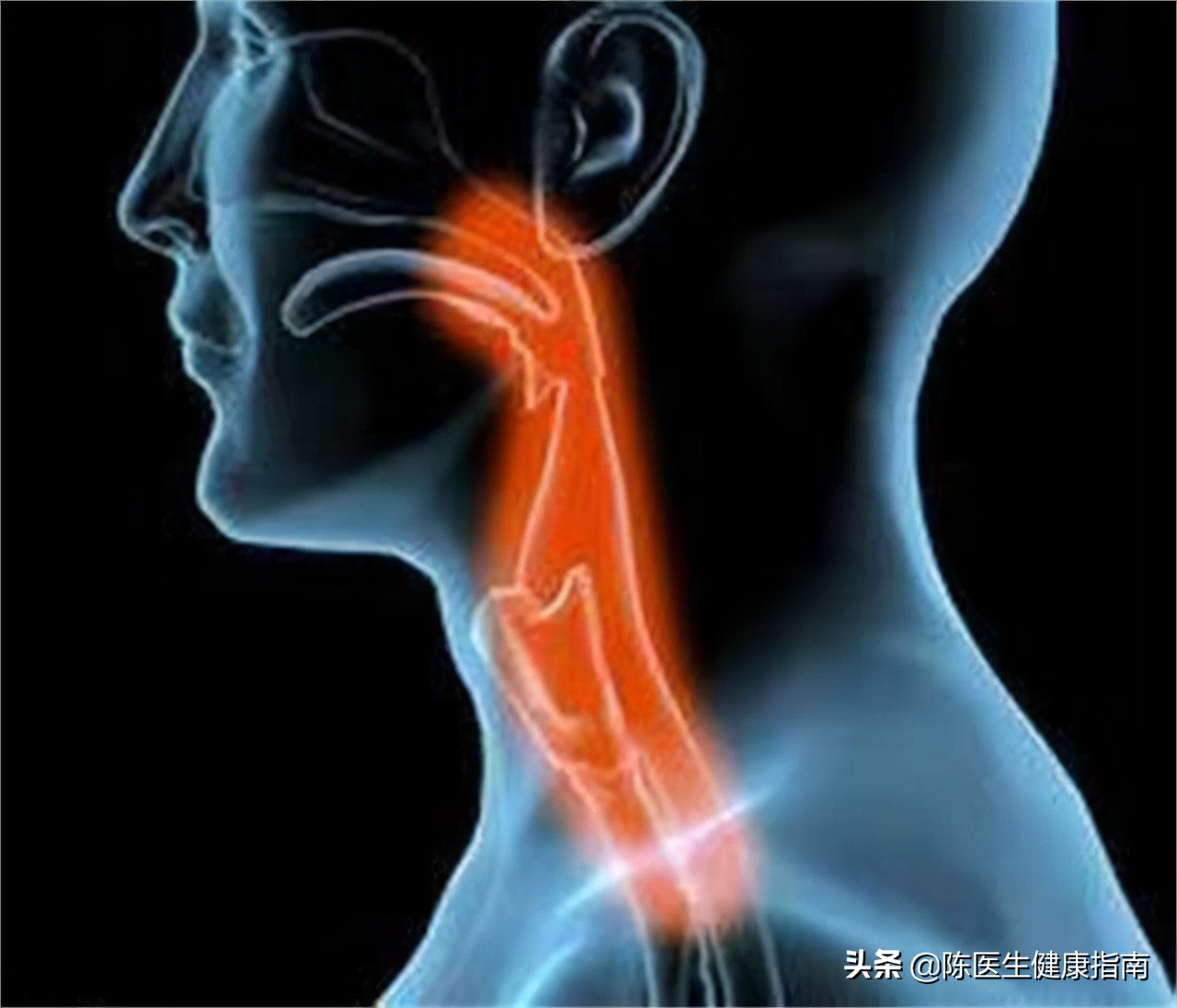 阿莫西林虽然是好药，但只适用于这5类疾病，可别随意乱吃