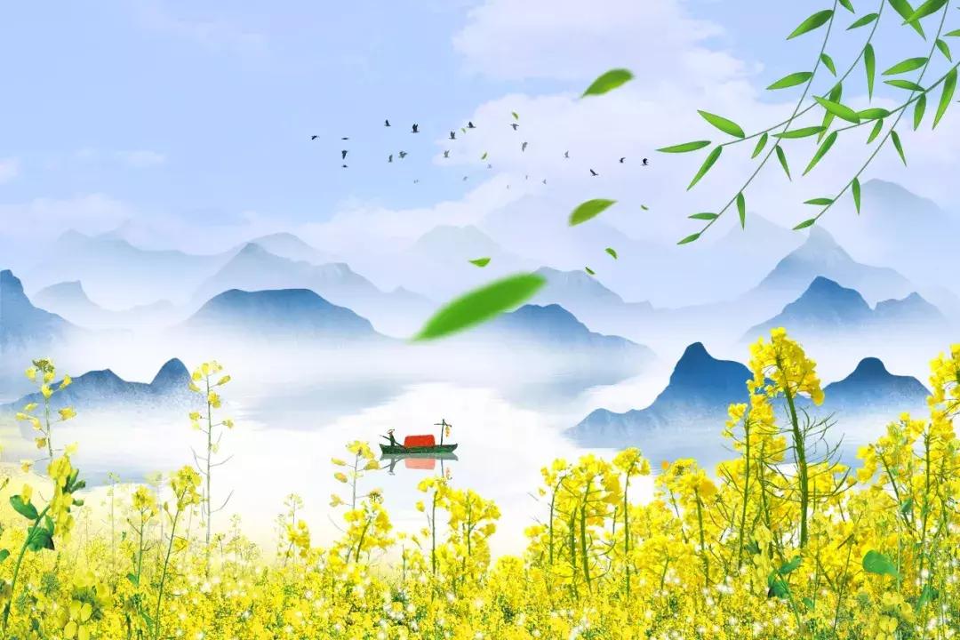 15种最美丽的花,15种开紫花的植物图片