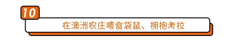 寻找幸运锦鲤活动在哪,寻找锦鲤