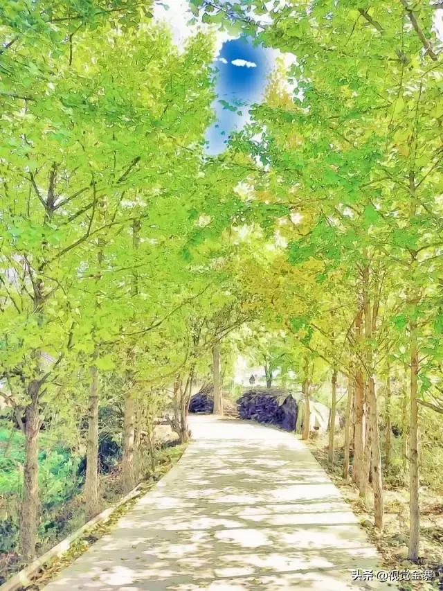 金寨是美丽的、有历史文化的，但这样的金寨你绝对没看过