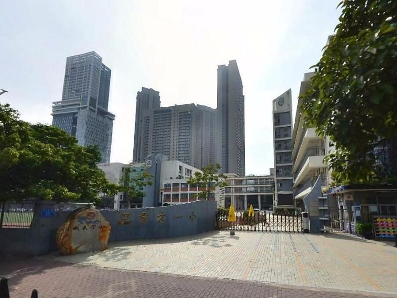 深圳前十名小学,2020深圳十大小学排名