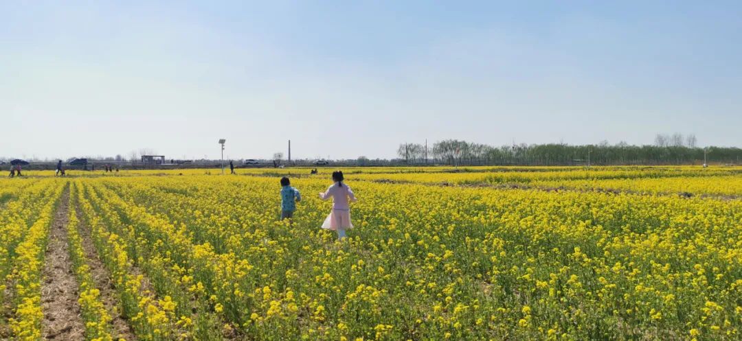 济南适合带孩子去的地方春天,周末遛娃的好去处好玩又免费济南
