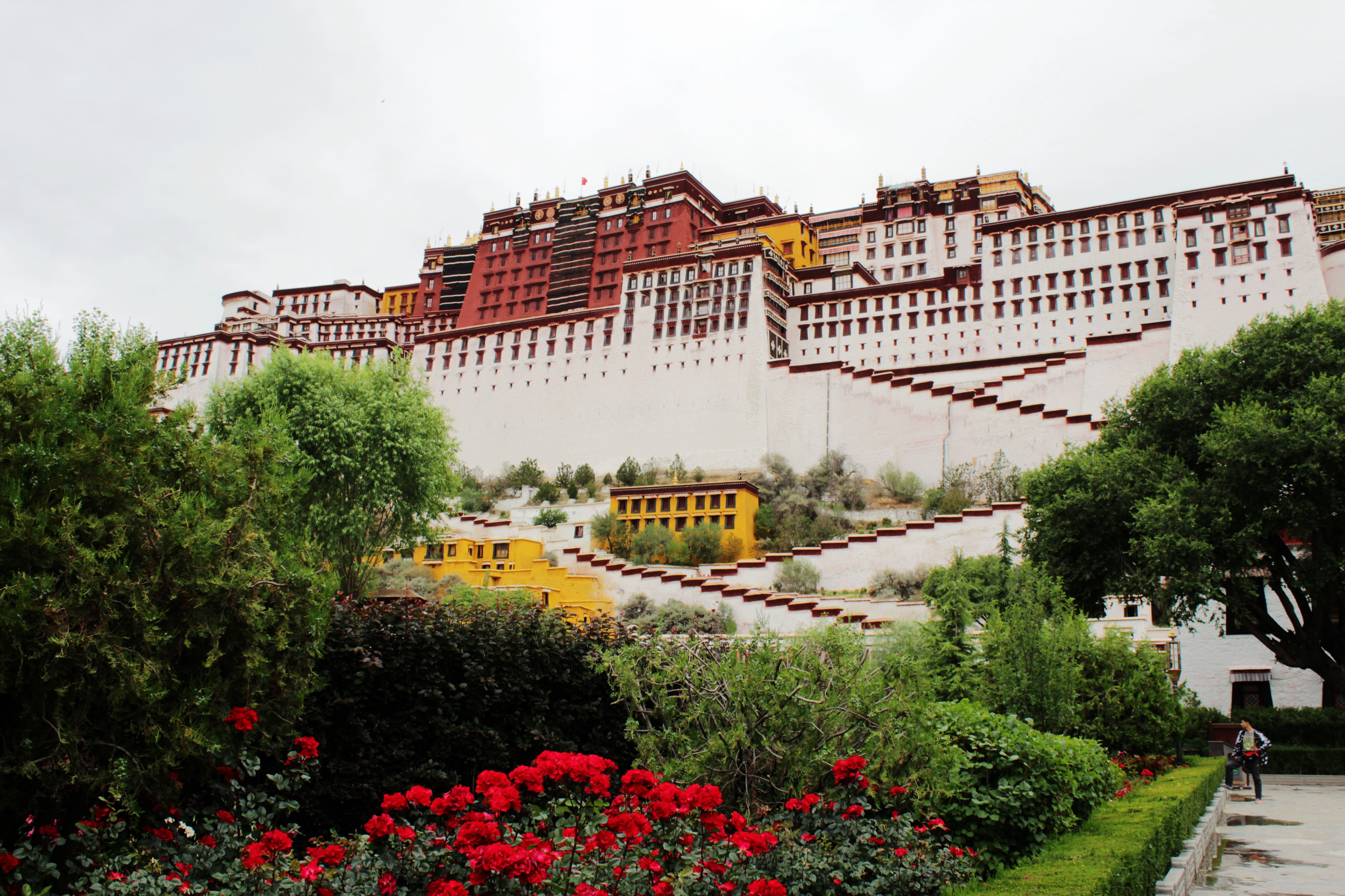 布达拉宫里面到底有什么神秘的,布达拉宫为什么是神秘的地方