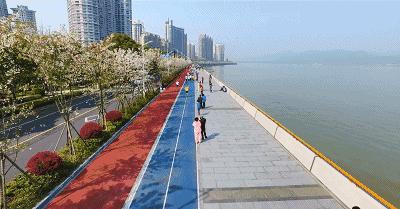 浙江11个地方樱花烂漫，千亩粉色天堂美到开挂，不输日本东京