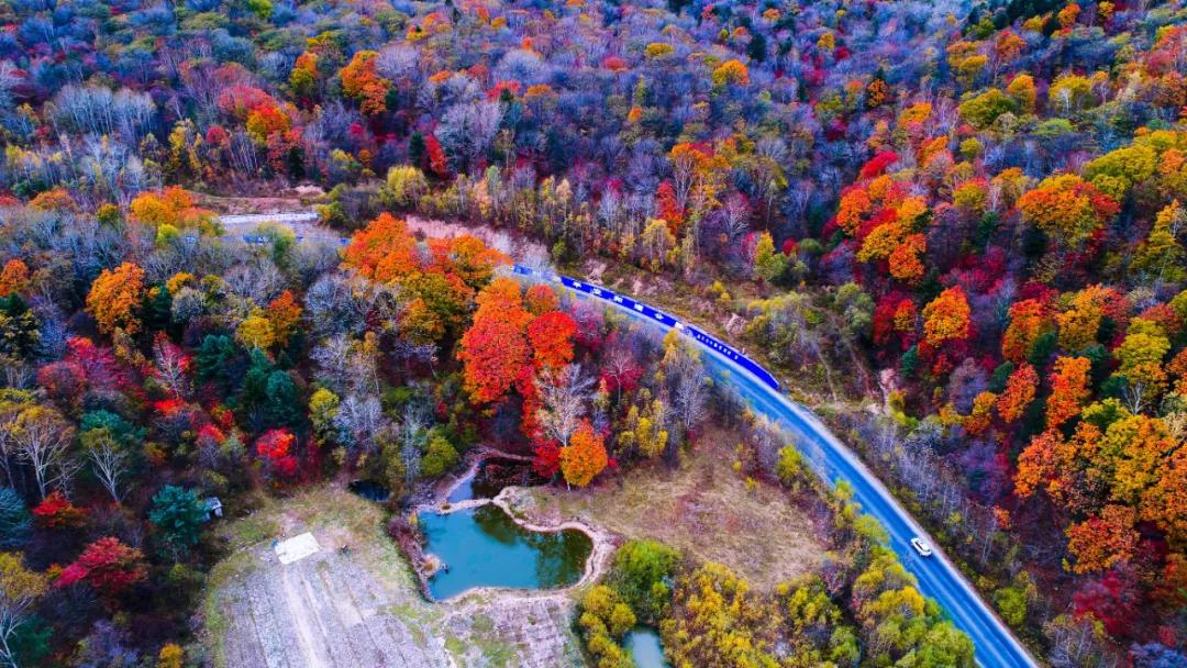 国庆敦化一日游,国庆长假敦化旅游攻略