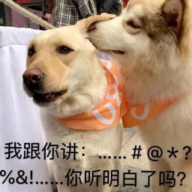 收割男神的普通姑娘用的最大套路,收割男神的女生