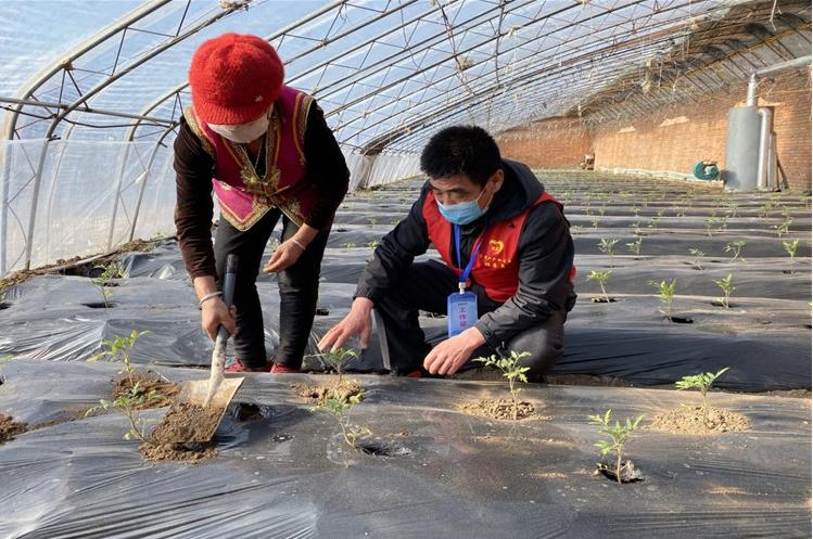 乌兰浩特春耕新闻,春耕进行时全力保障农业生产