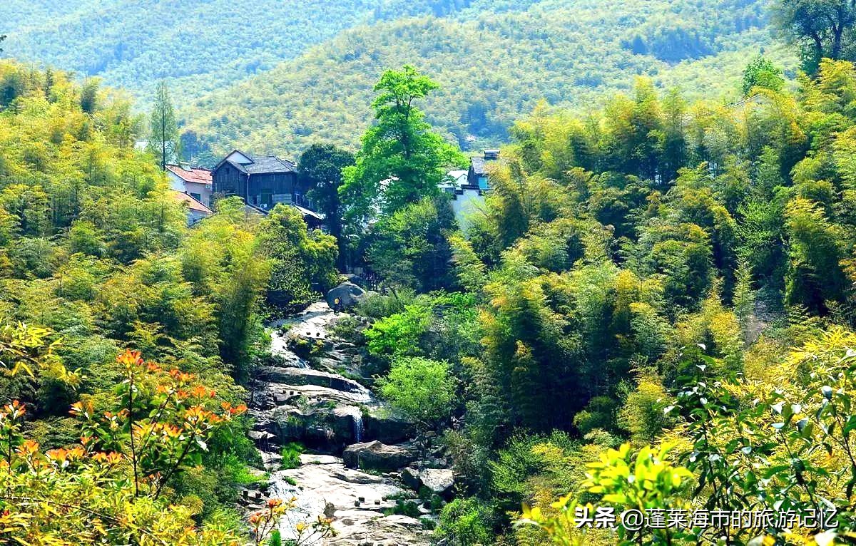 杭州西湖阳春三月美景视频,杭州西湖美景跟古诗里的一样迷人