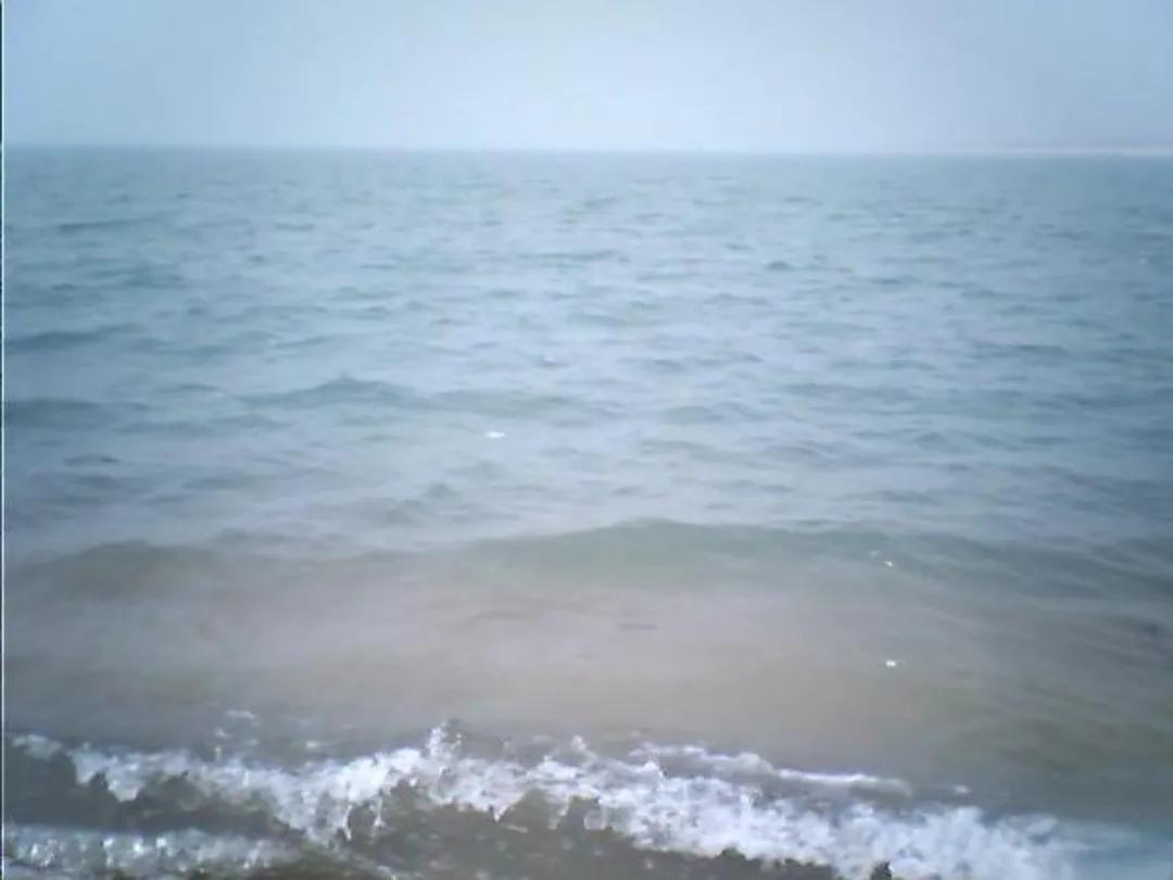 南皮县大浪淀,大浪淀好玩吗