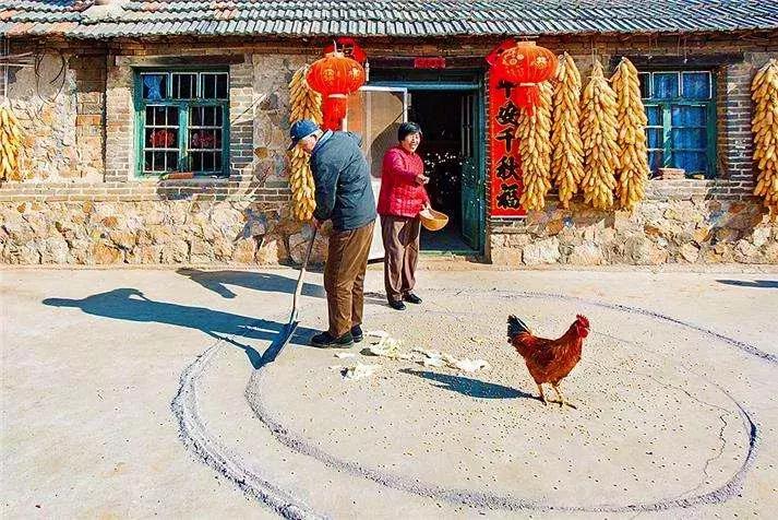 龙抬头开启一年好彩头,龙年龙抬头必有好兆头