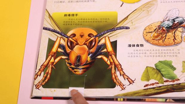 立体纸艺可以有哪些制作手法,纸艺实用技法