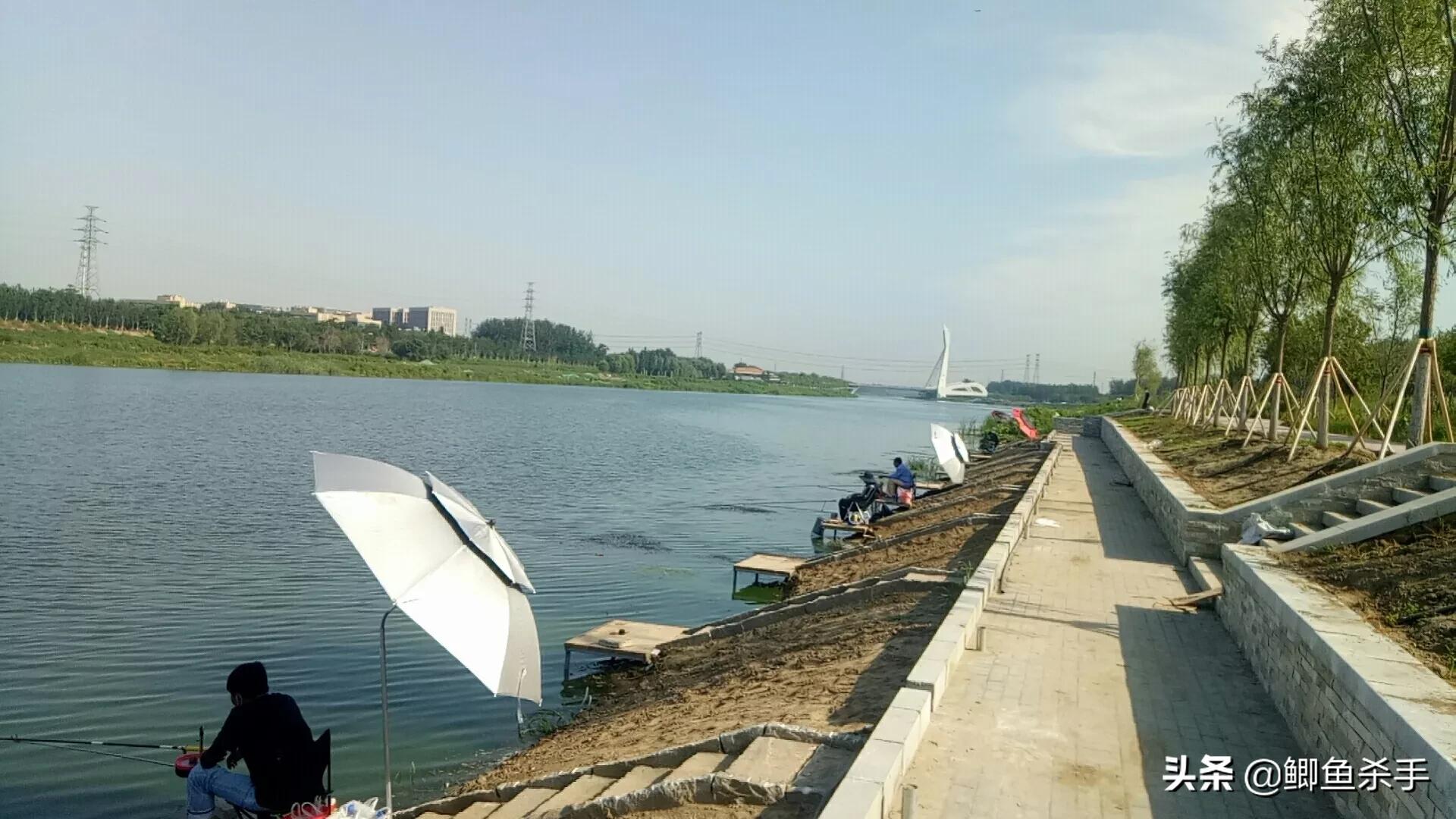 专业钓鱼场搭钓台,钓鱼人的福利来了图片