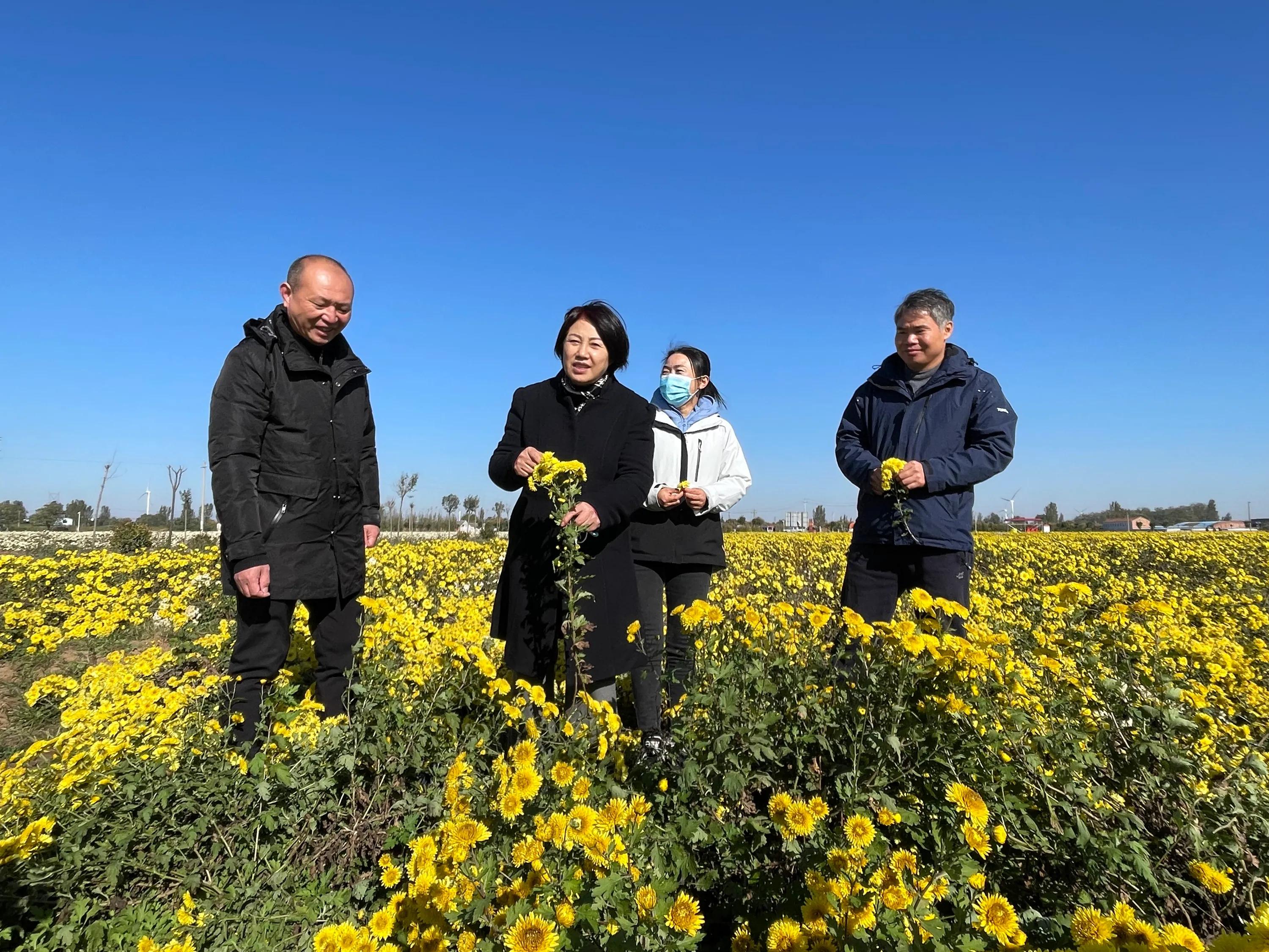 农业新品种新技术推广的意义,新型农业防病虫害技术